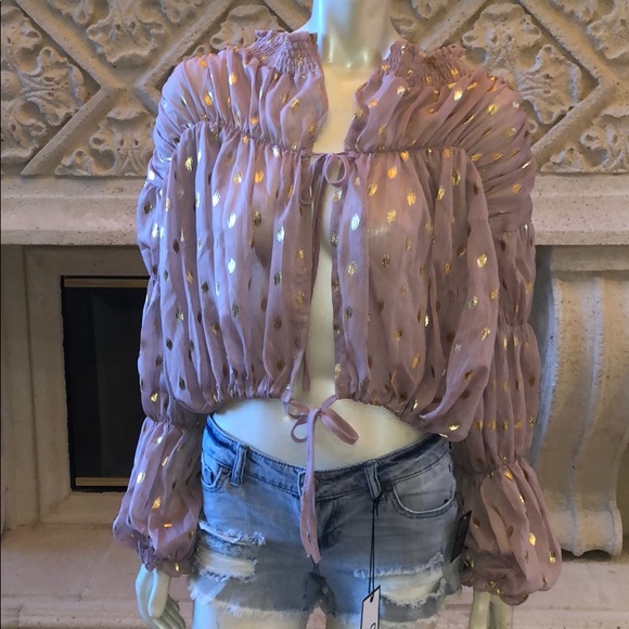 Chiffon DustyPink Polka Dot Top W/ Lantern Sleeves - Picture 2 of 6